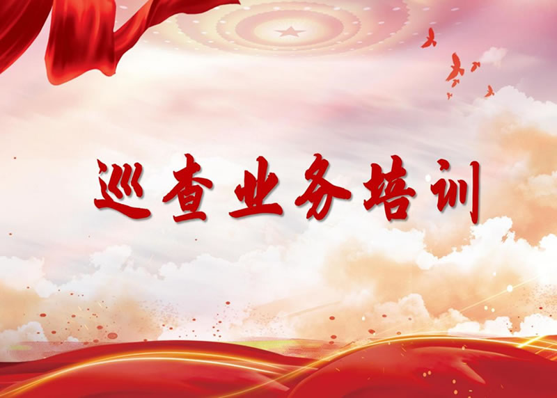 凤凰联盟官方网站举办全级次巡察业务培训